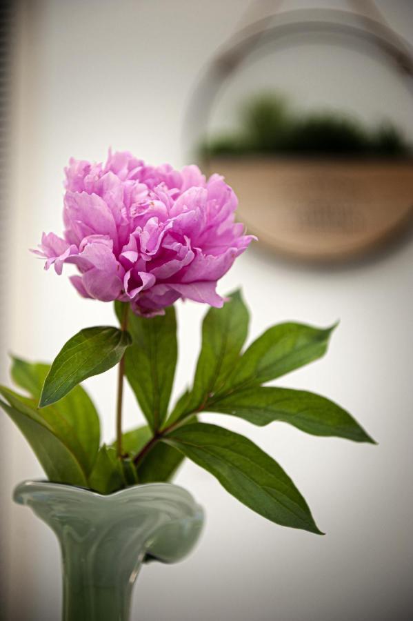 Guest House Rhea / Къща За Гости Рея บัลชิค ภายนอก รูปภาพ